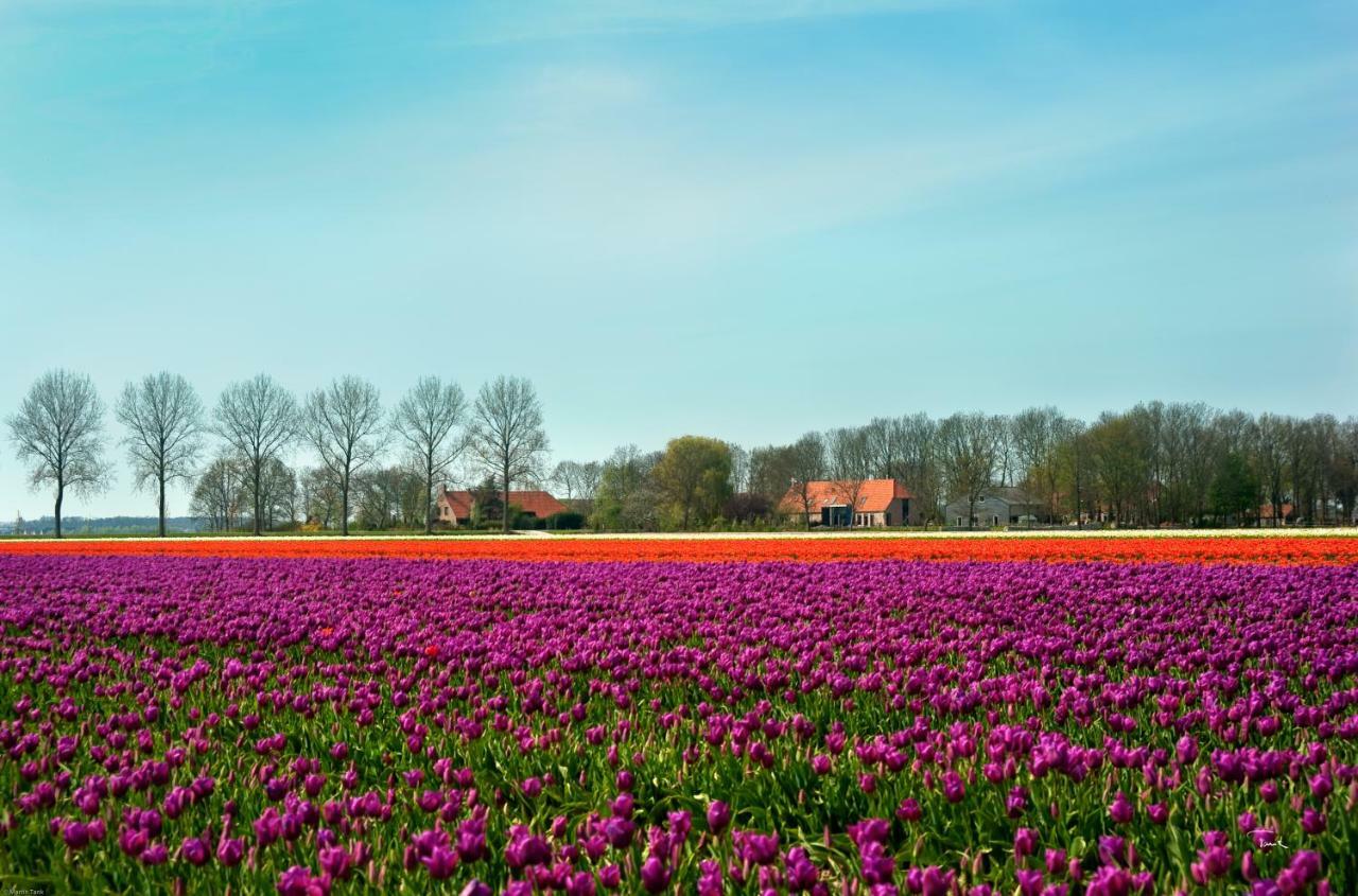B&B De Strandhoeve Giethoorn Bagian luar foto